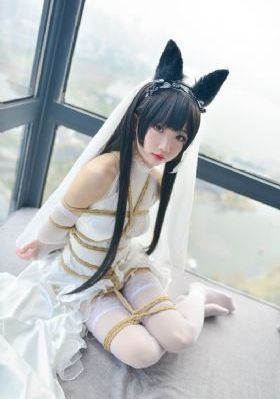 天天爽夜夜春_蓝光在线视频观看